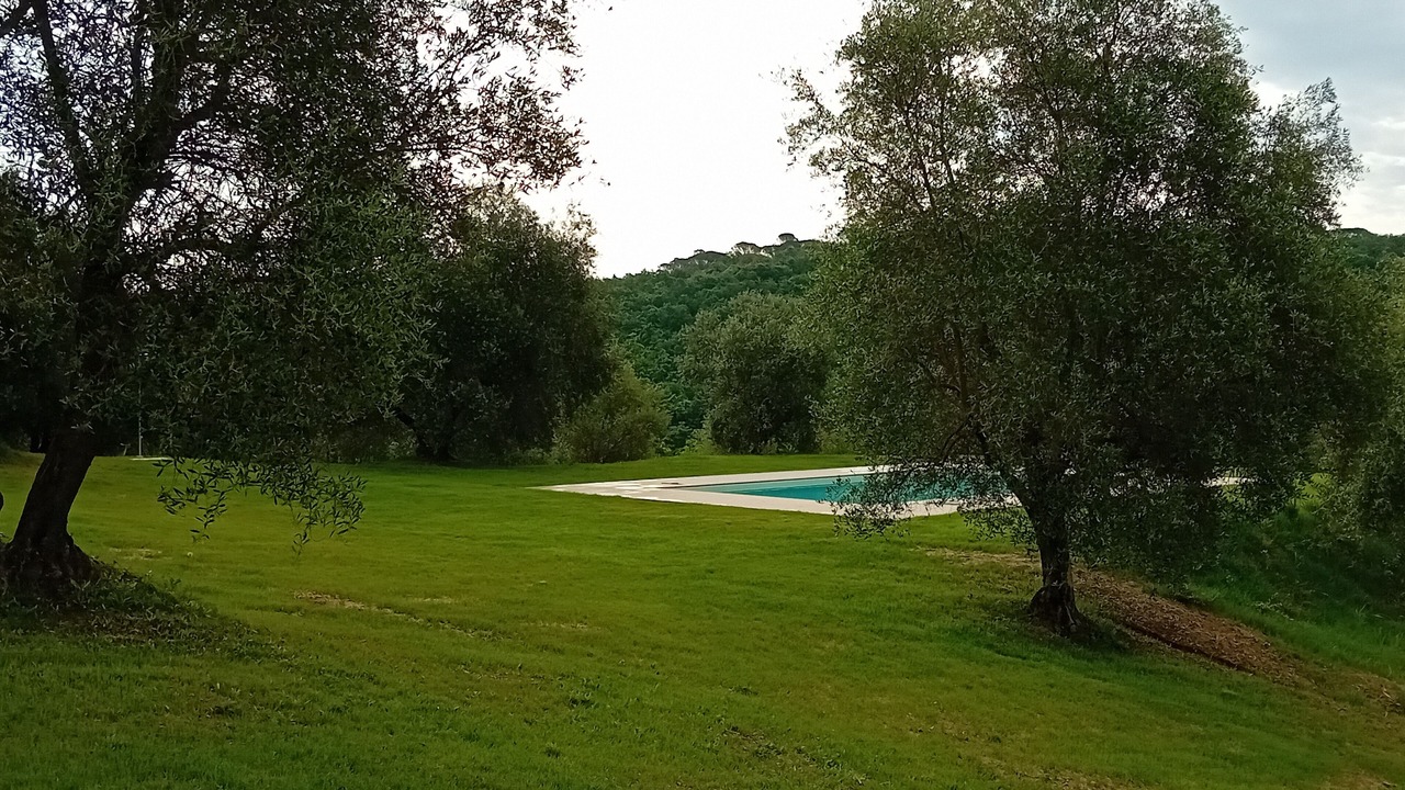 Photo of Outdoor in Ponte di Gabbiano