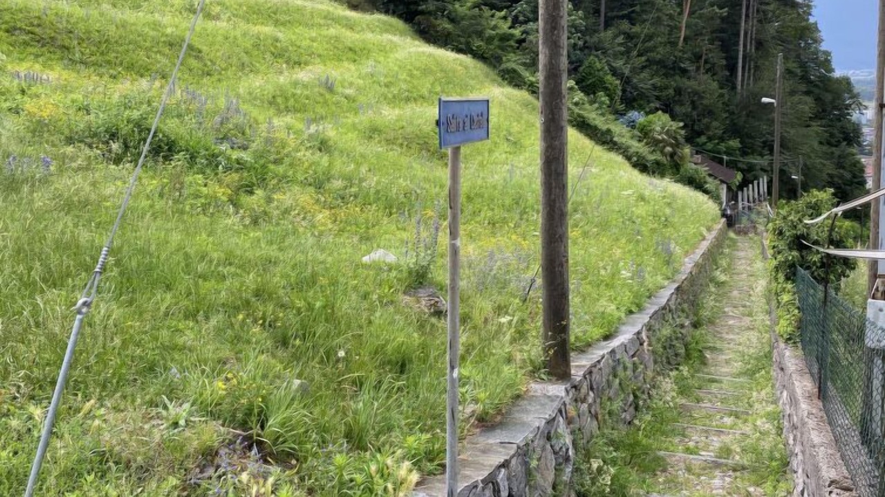 Photo of Outdoor in Bellinzona