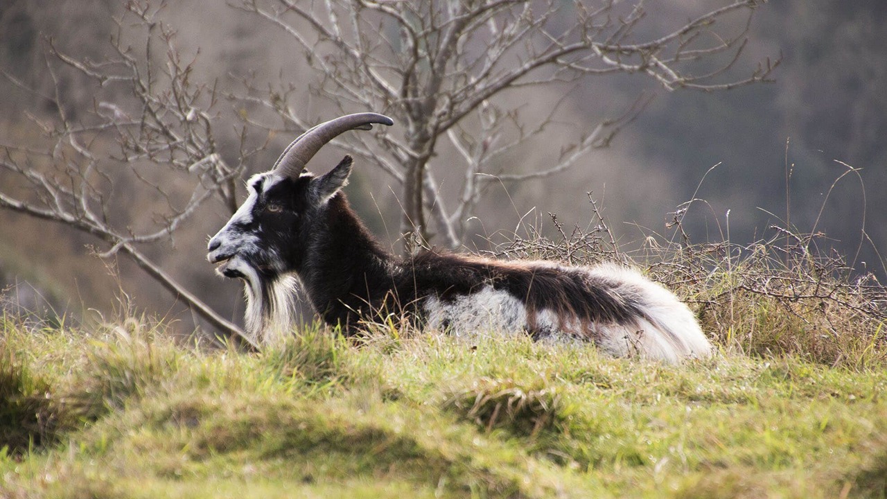 Photo of Others in Tunley