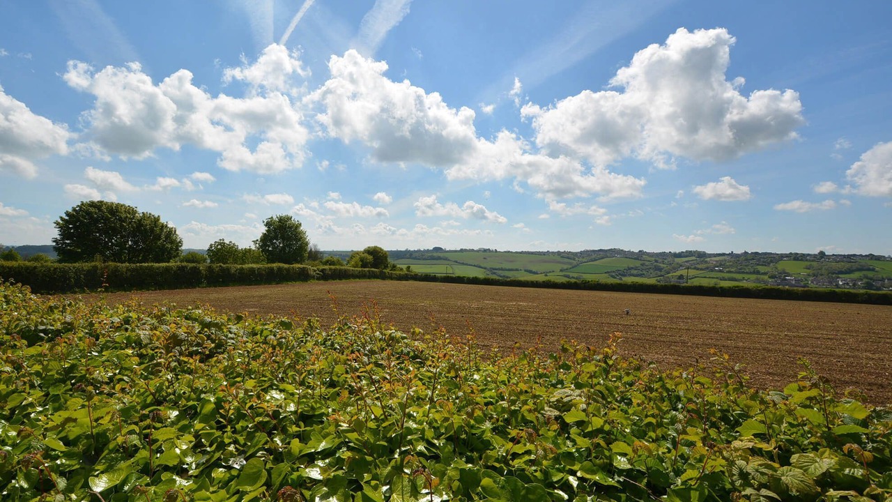 Photo of Outdoor in Tunley