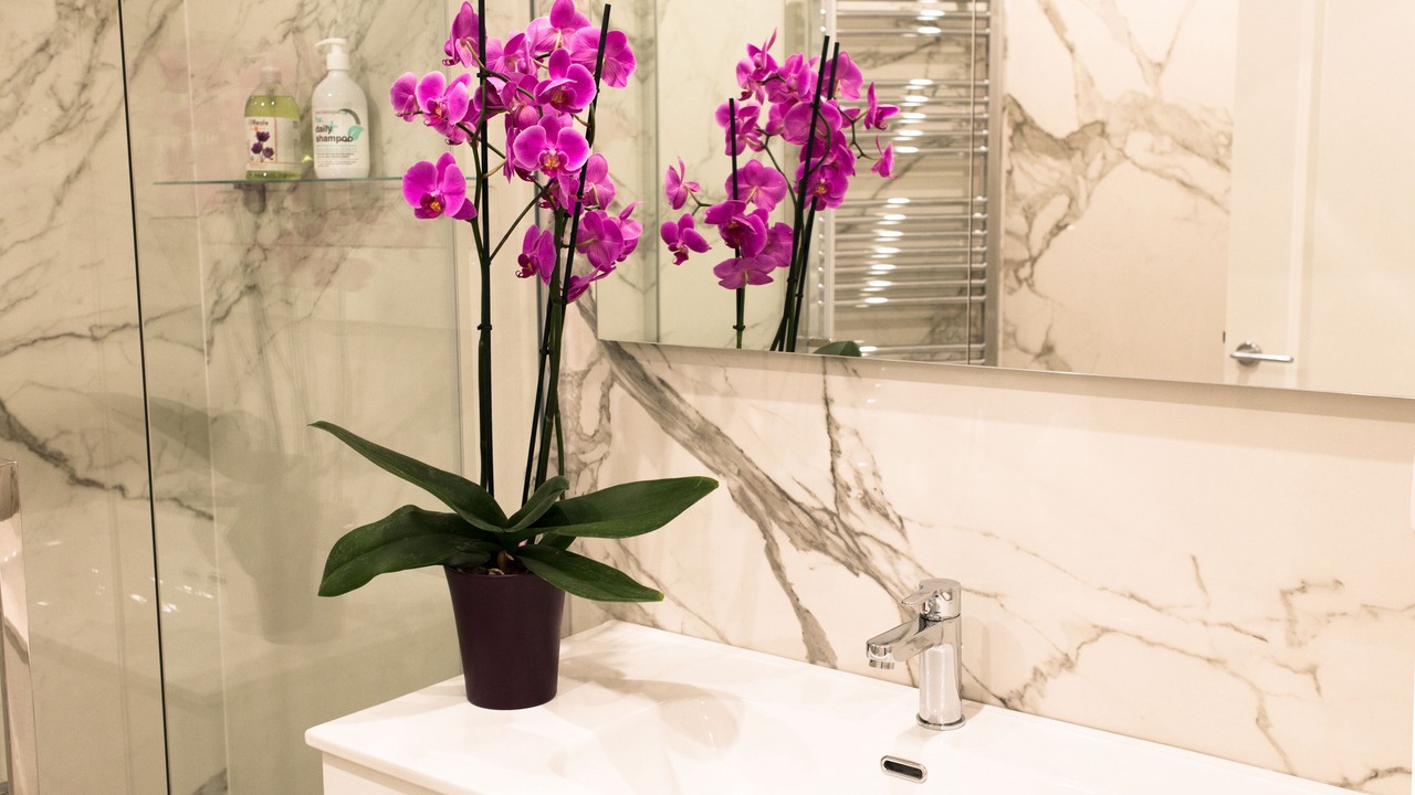Photo of Bathroom in Santa Maria Novella