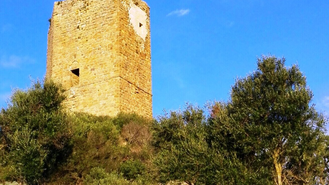 Photo of Outdoor in Viddalba
