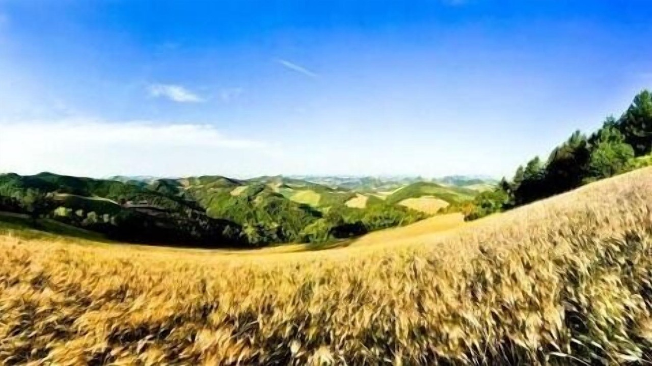 Photo of Outdoor in Urbino