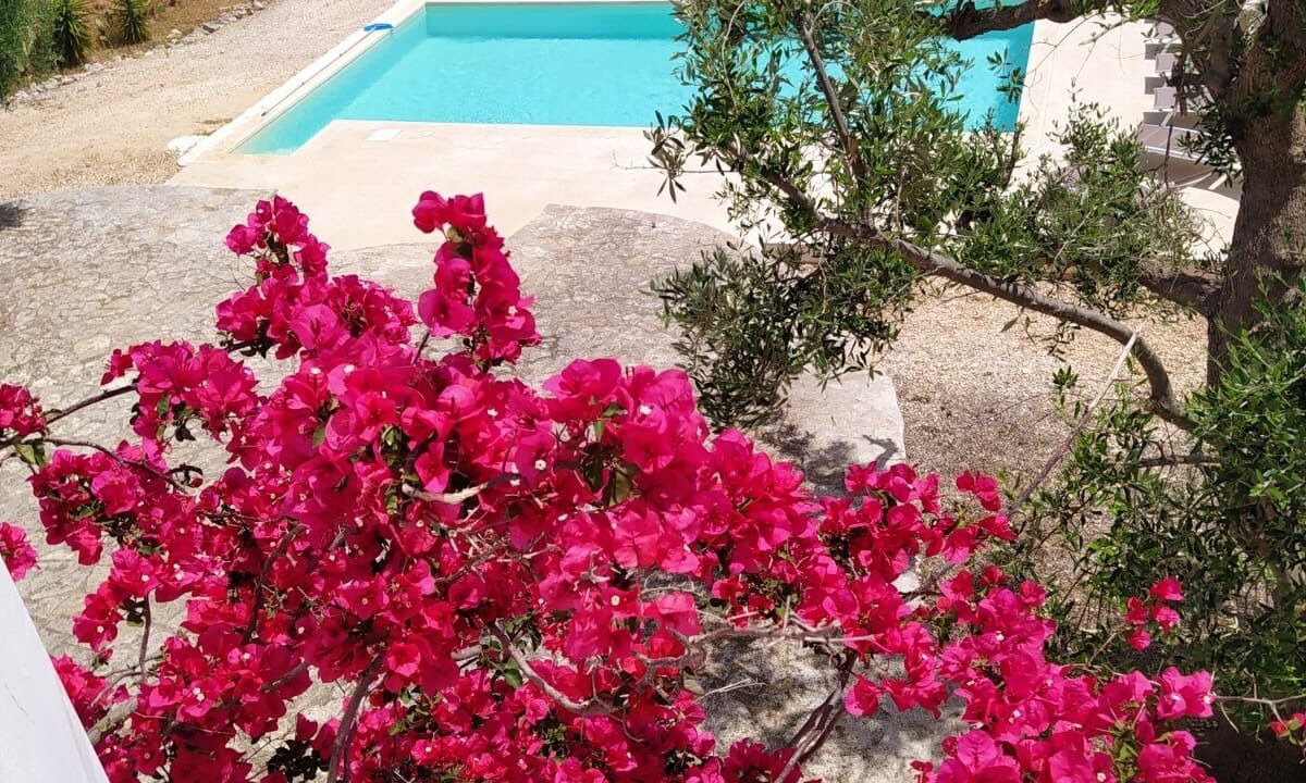 Photo of Outdoor in Carovigno