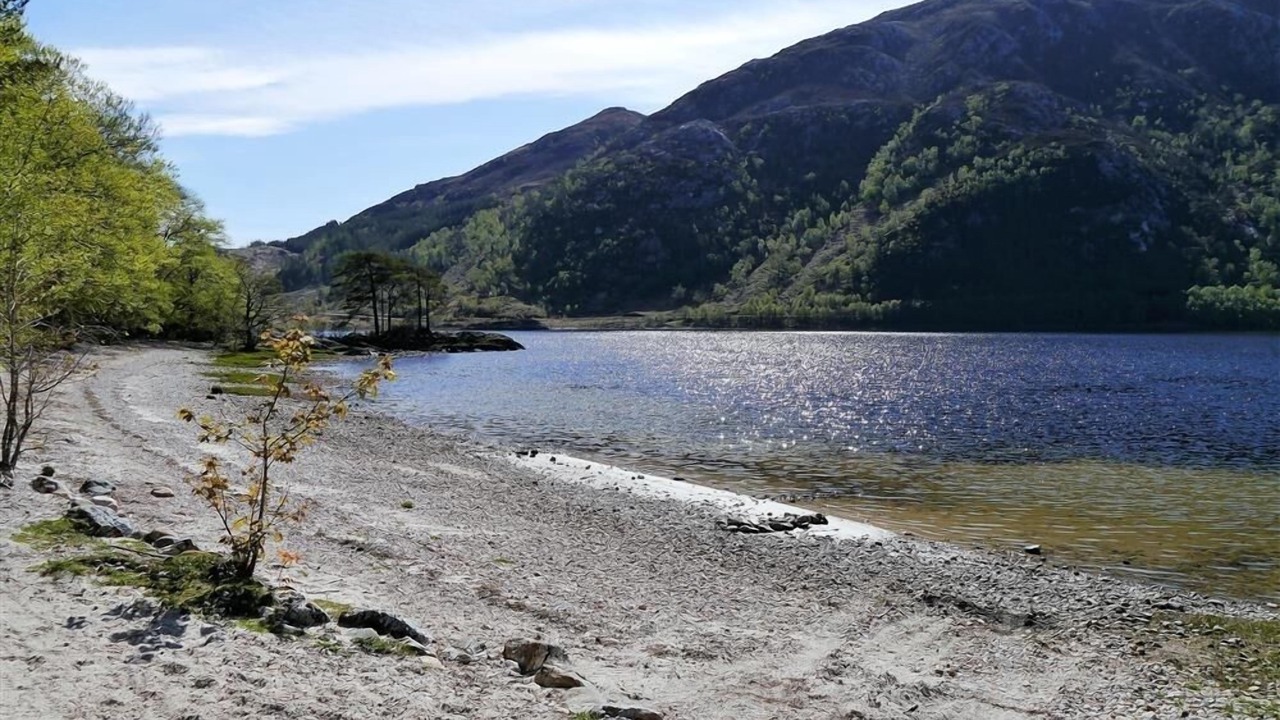 Photo of Others in Glenfinnan