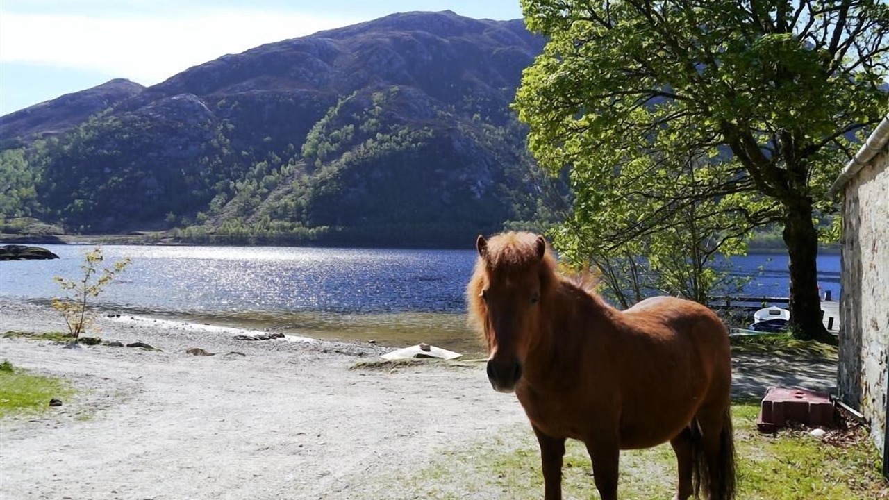 Photo of Others in Glenfinnan