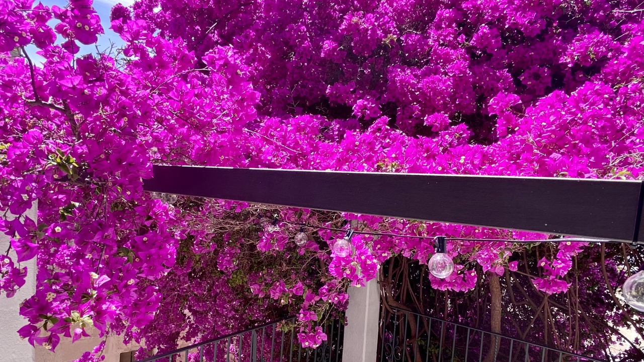 Photo of Outdoor in Centro Storico