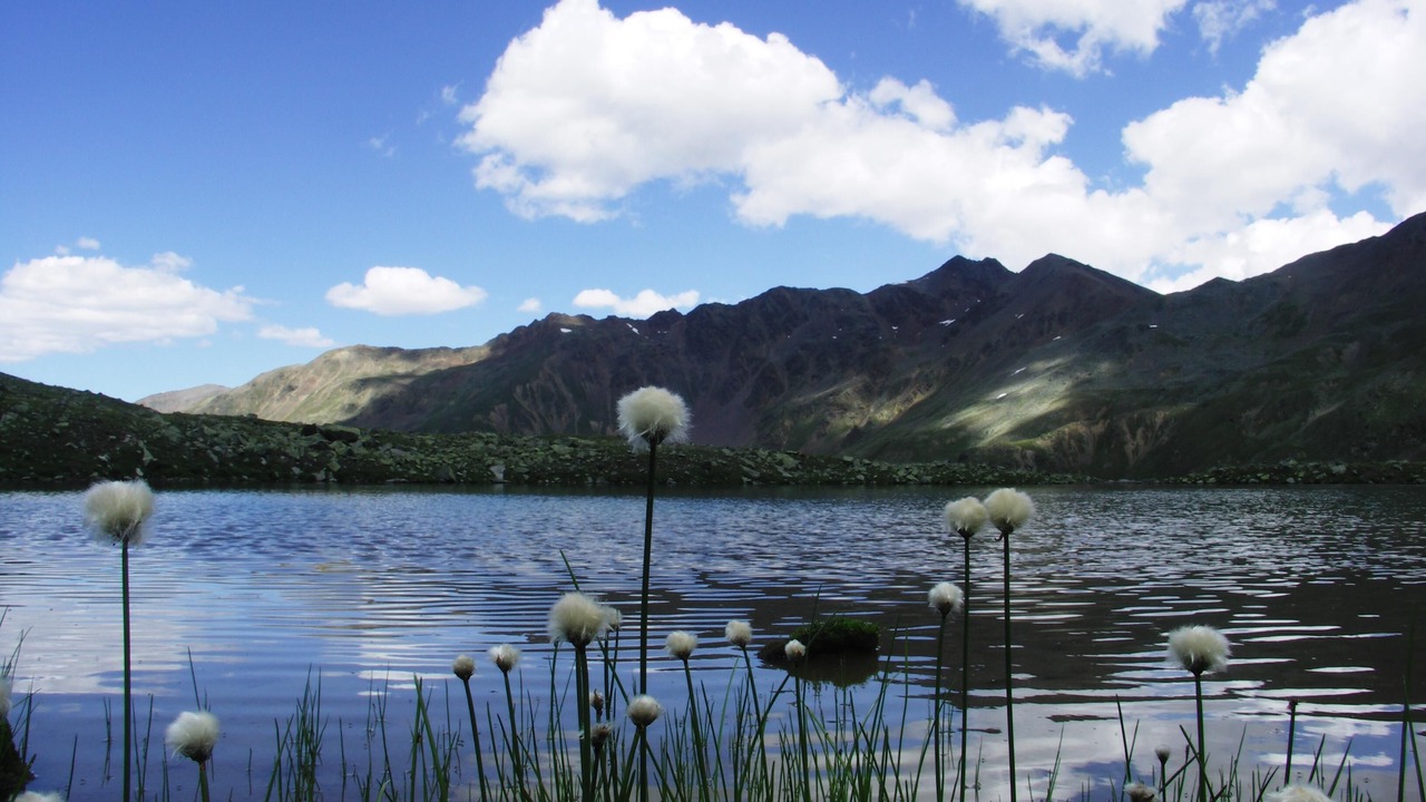 Photo of Outdoor in Melago