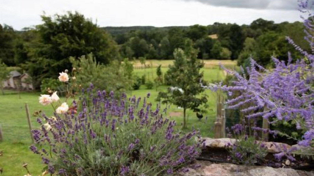 Photo of Outdoor in Vobster