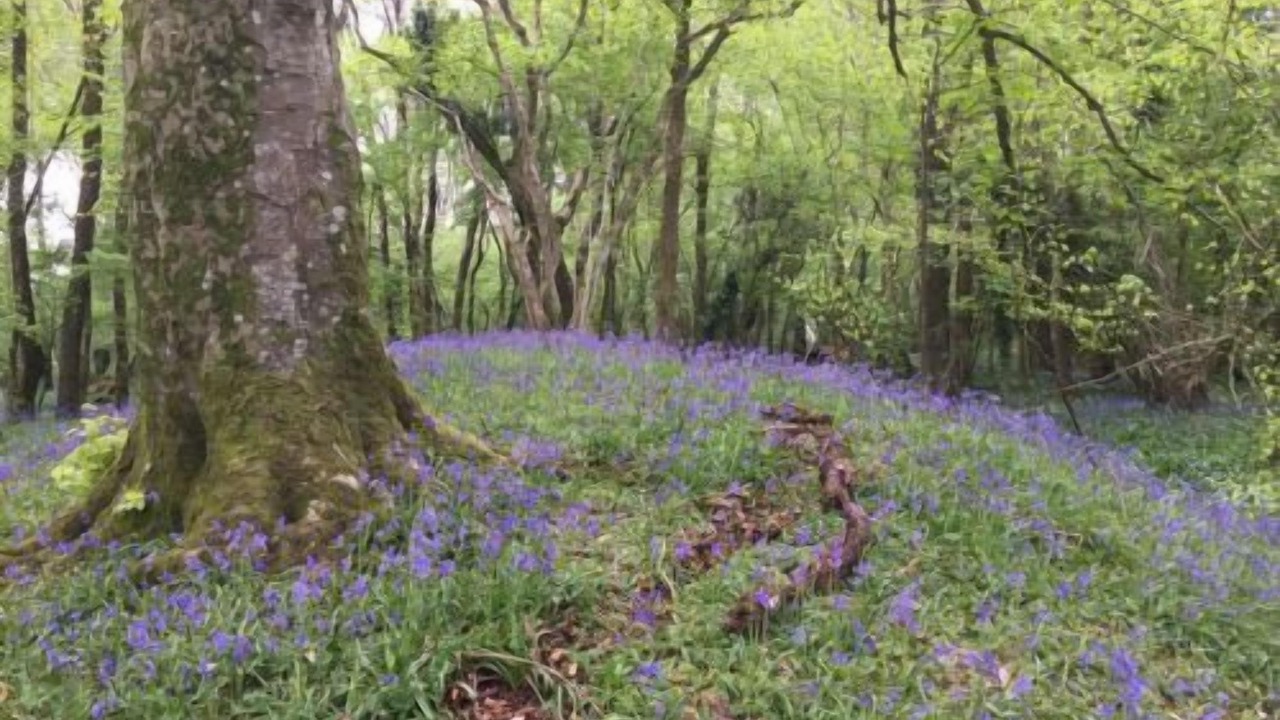 Photo of Outdoor in Vobster