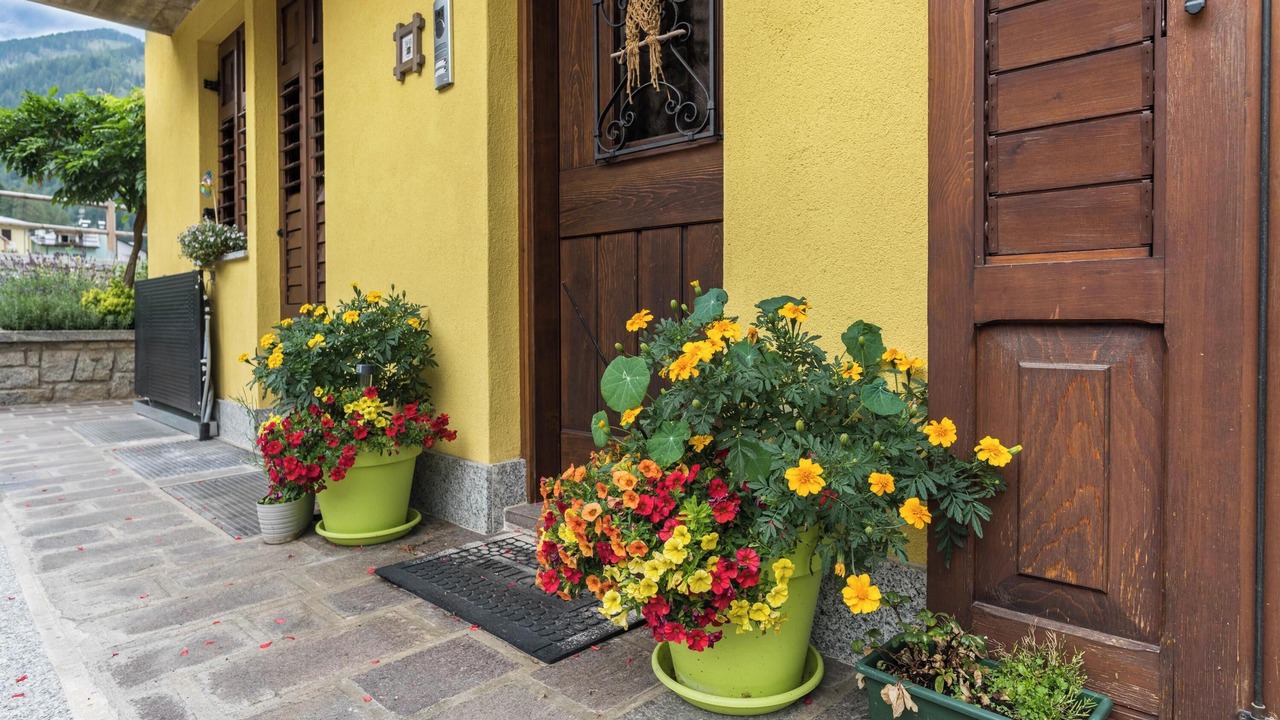 Photo of Outdoor in Ossana