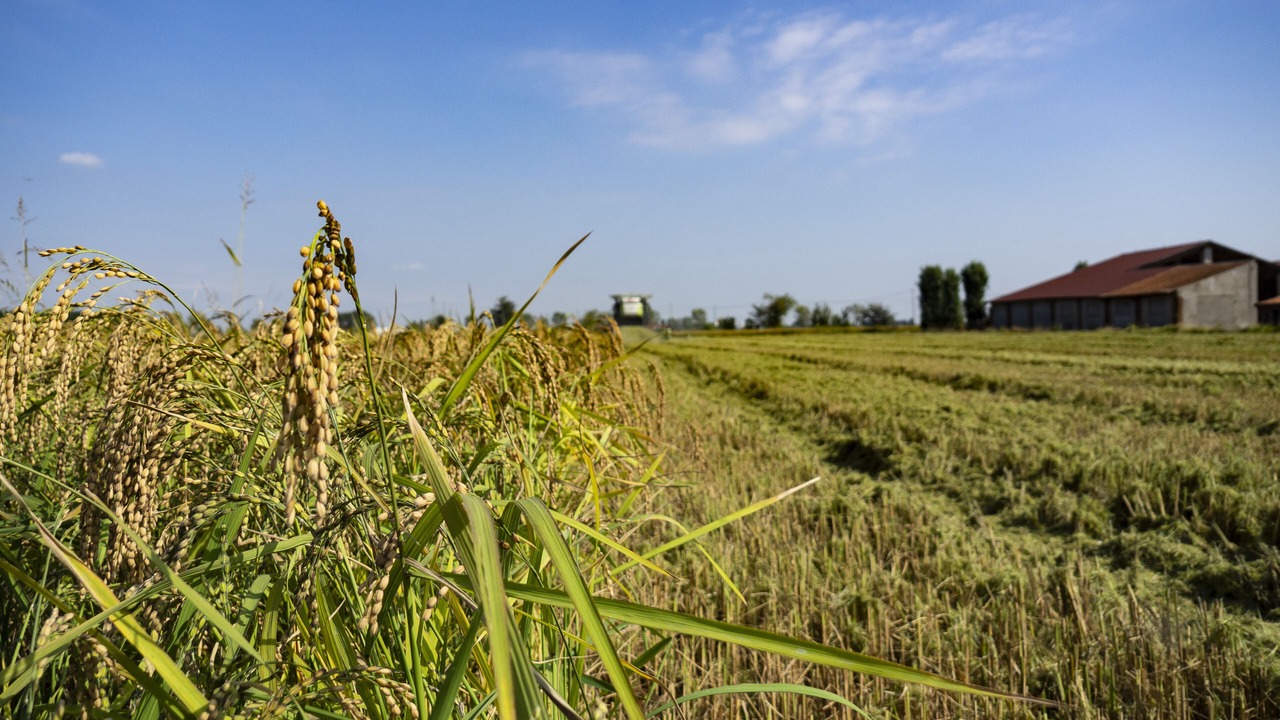 Photo of Outdoor in Nogarole Rocca