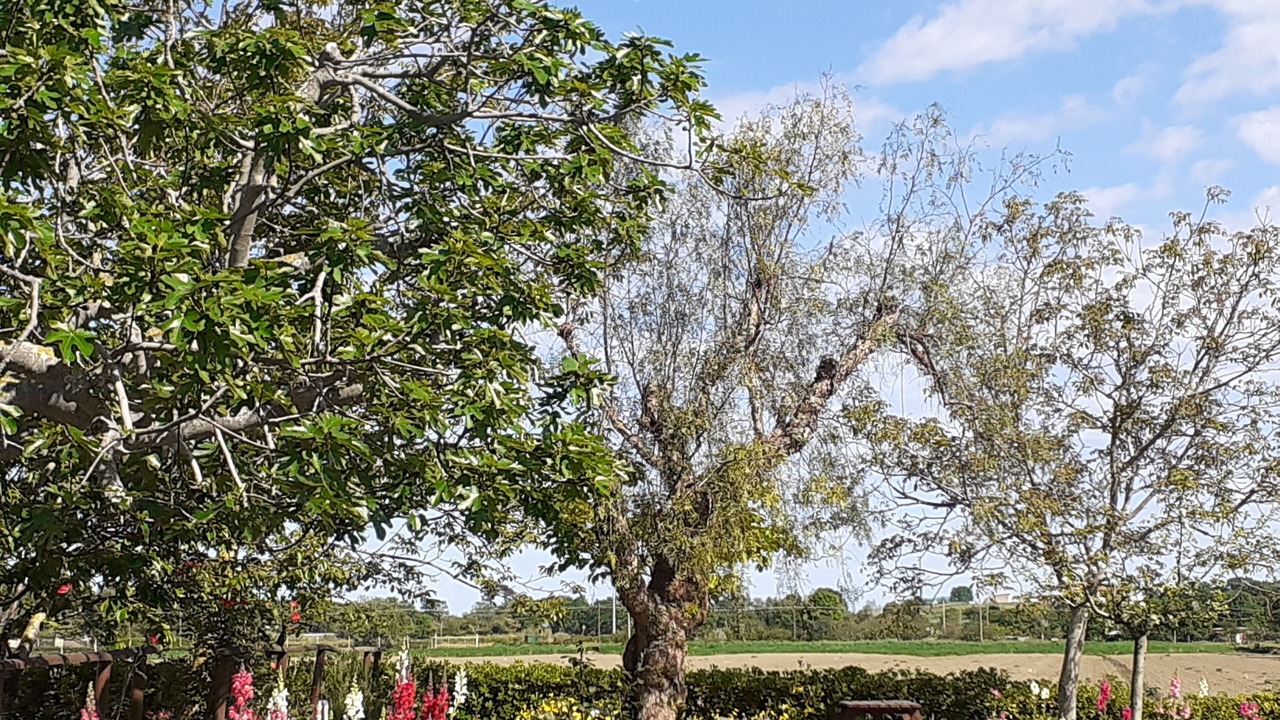 Photo of Outdoor in Potenza Picena