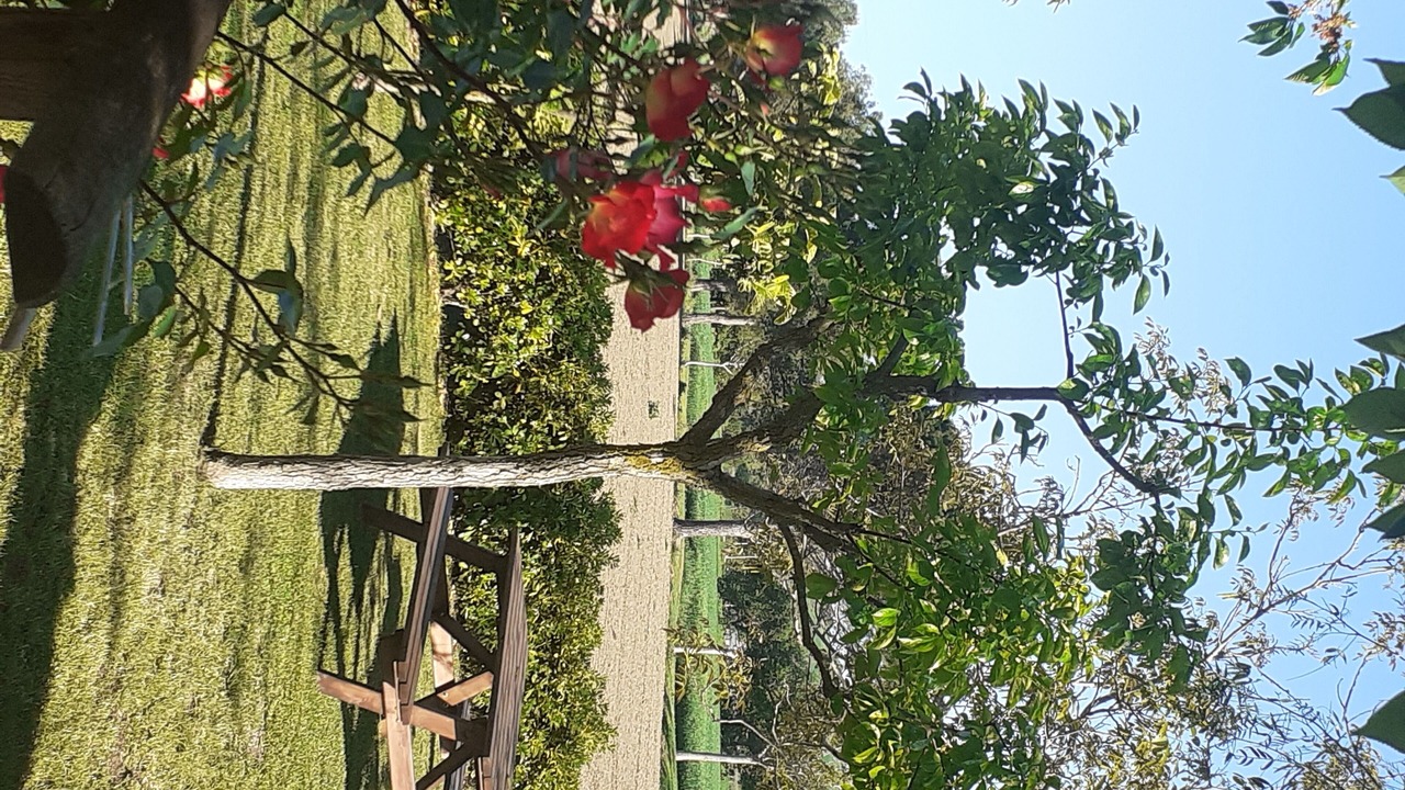 Photo of Outdoor in Potenza Picena