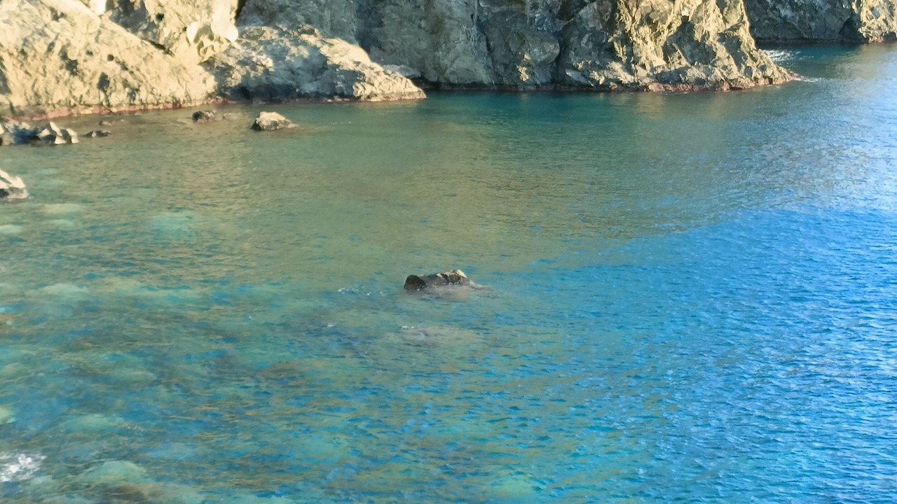 Photo of Others in Levanto