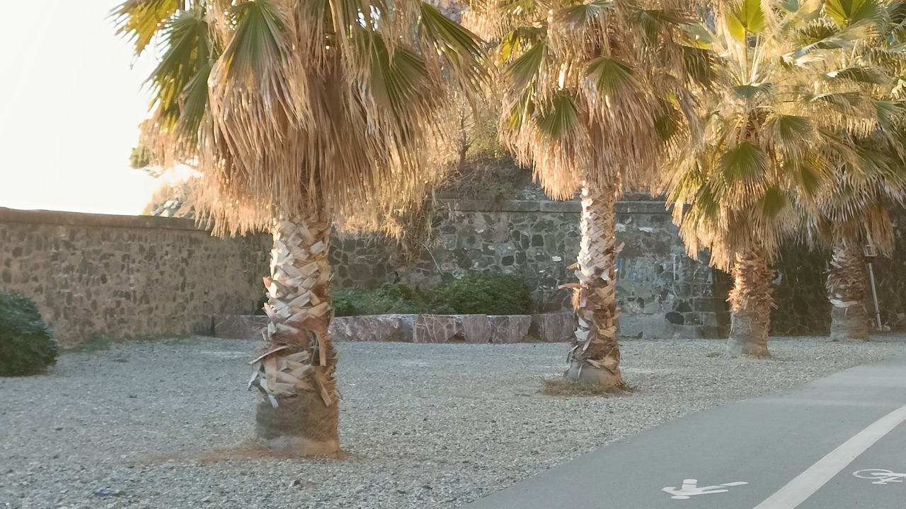 Photo of Outdoor in Levanto