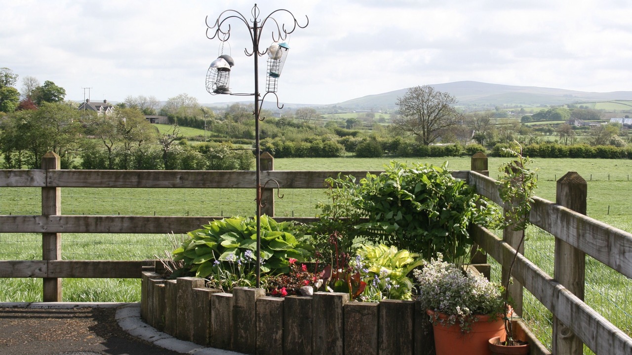Photo of Outdoor in Lisnagunogue