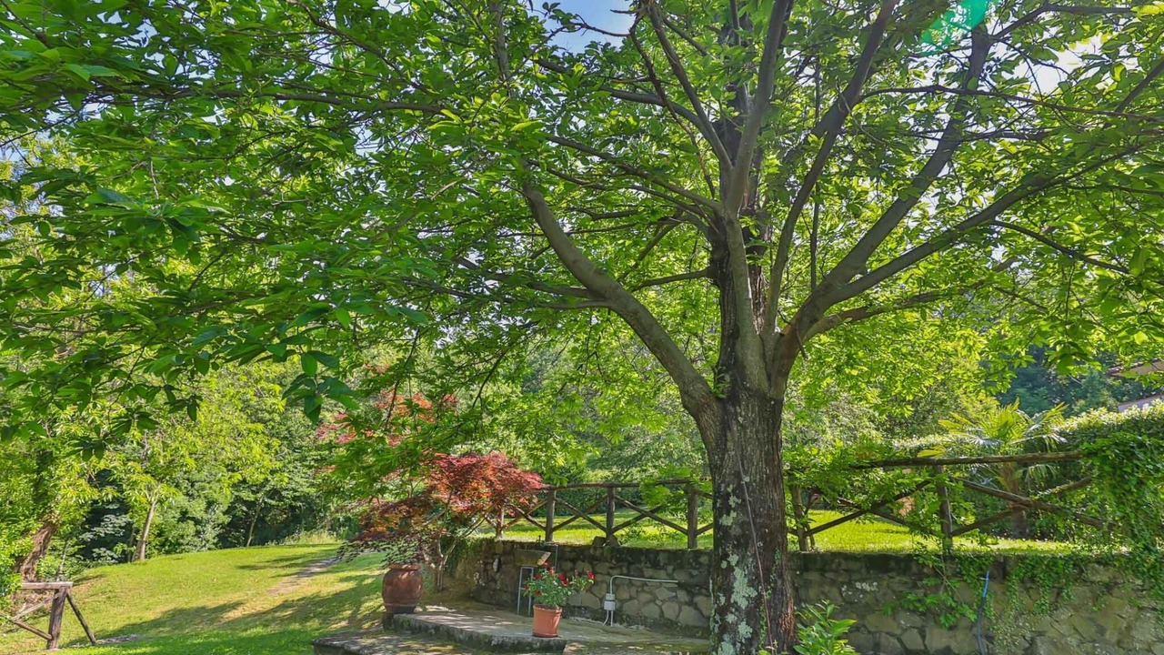 Photo of Outdoor in Castagno