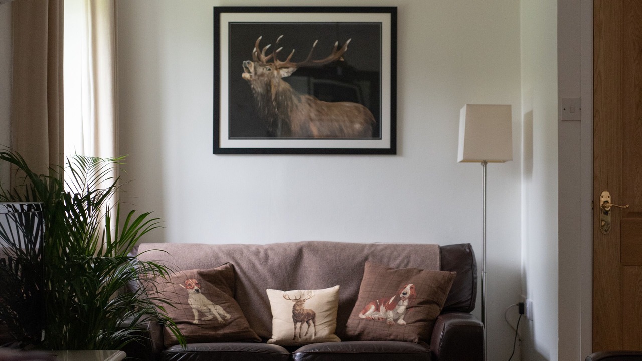 Photo of Livingroom in Fivemiletown