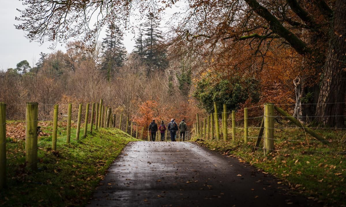 Photo of Outdoor in Fivemiletown