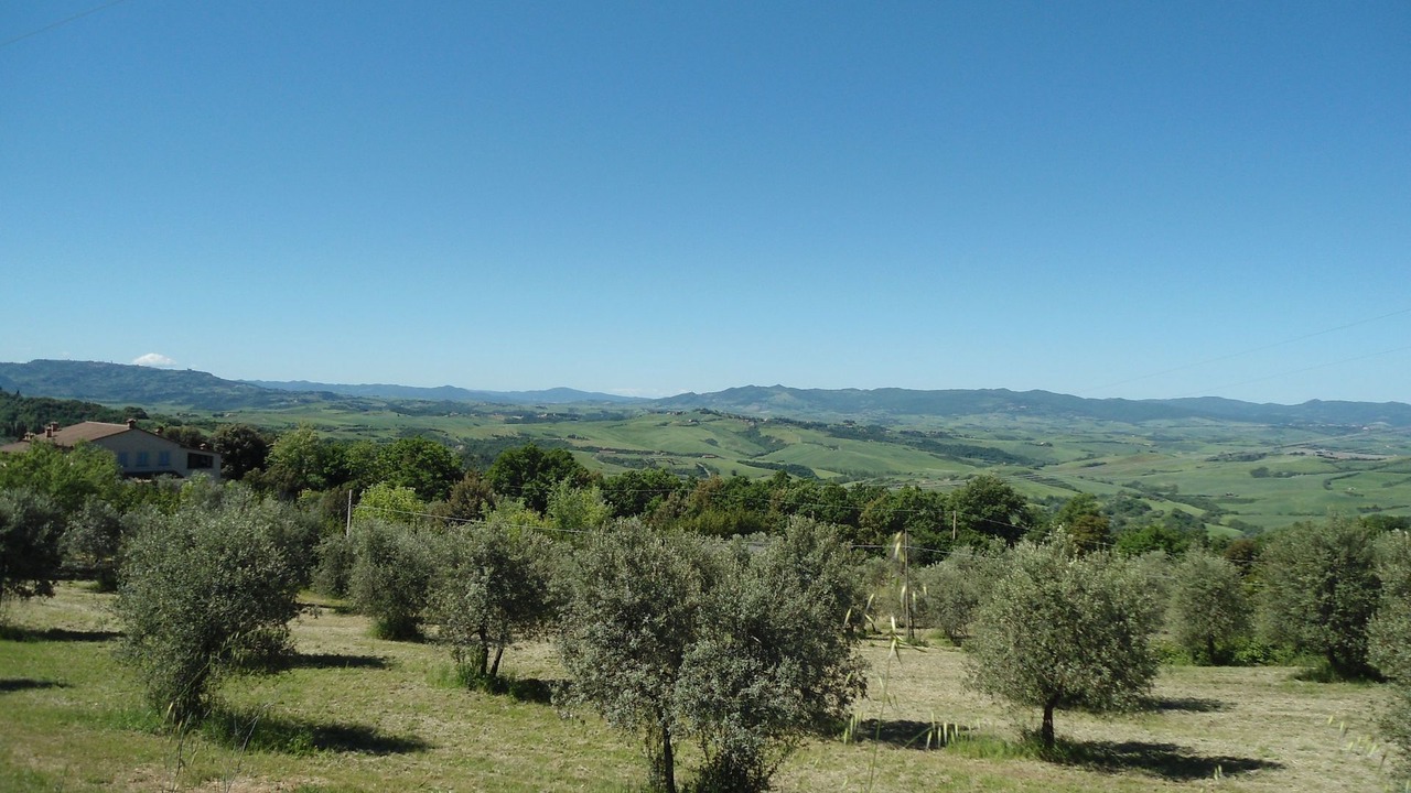 Photo of Others in Montaione