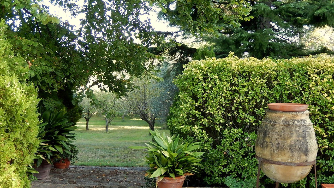 Photo of Outdoor in Pesaro