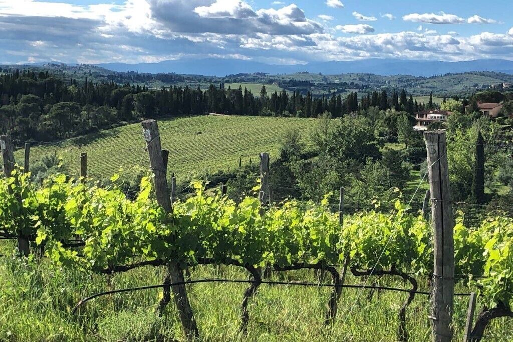 Photo of Outdoor in Bagno a Ripoli
