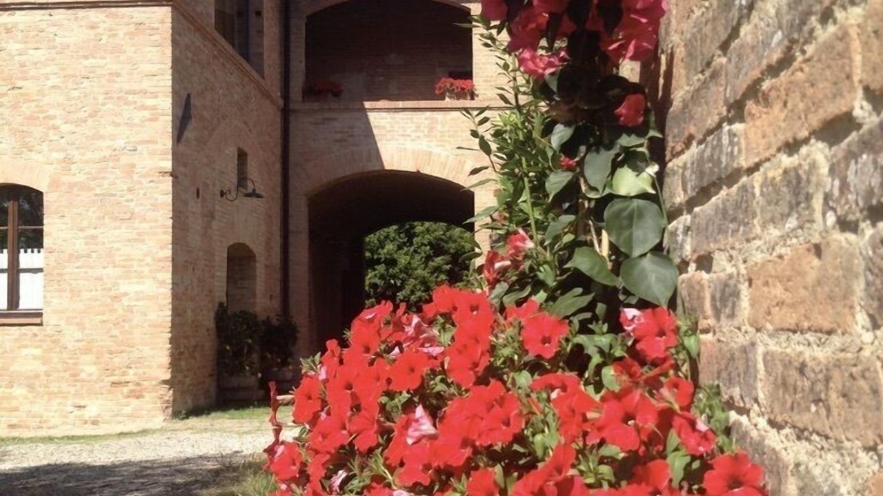 Photo of Outdoor in Monteroni d'Arbia