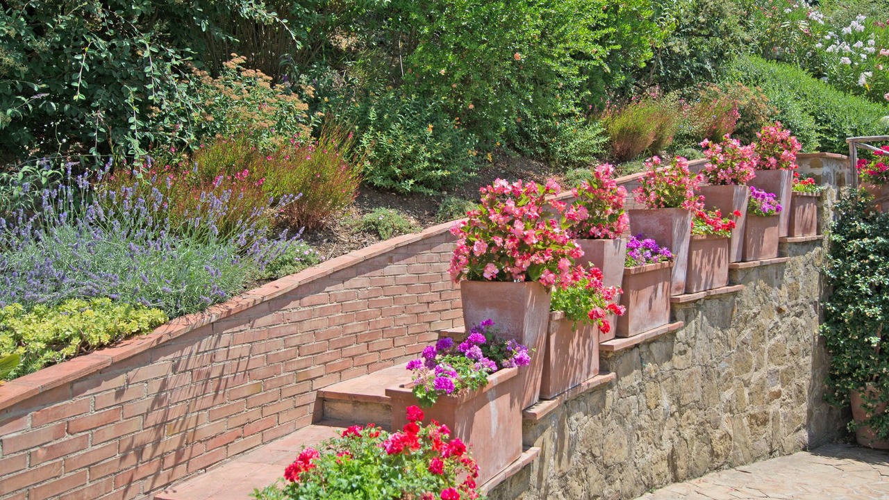Photo of Outdoor in Magliano