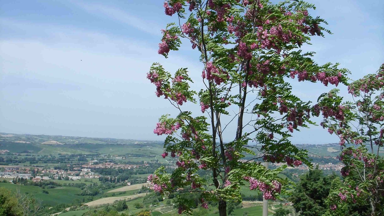 Photo of Outdoor in Montelabbate