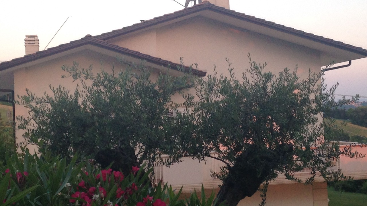 Photo of Outdoor in Montelabbate
