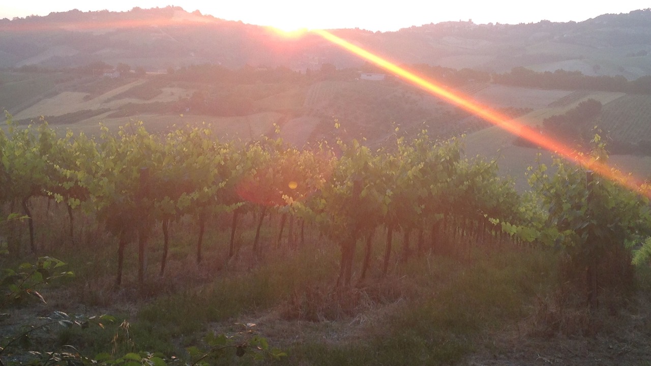 Photo of Outdoor in Montelabbate