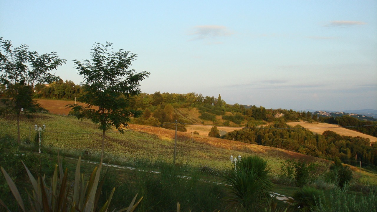 Photo of Others in Montelabbate