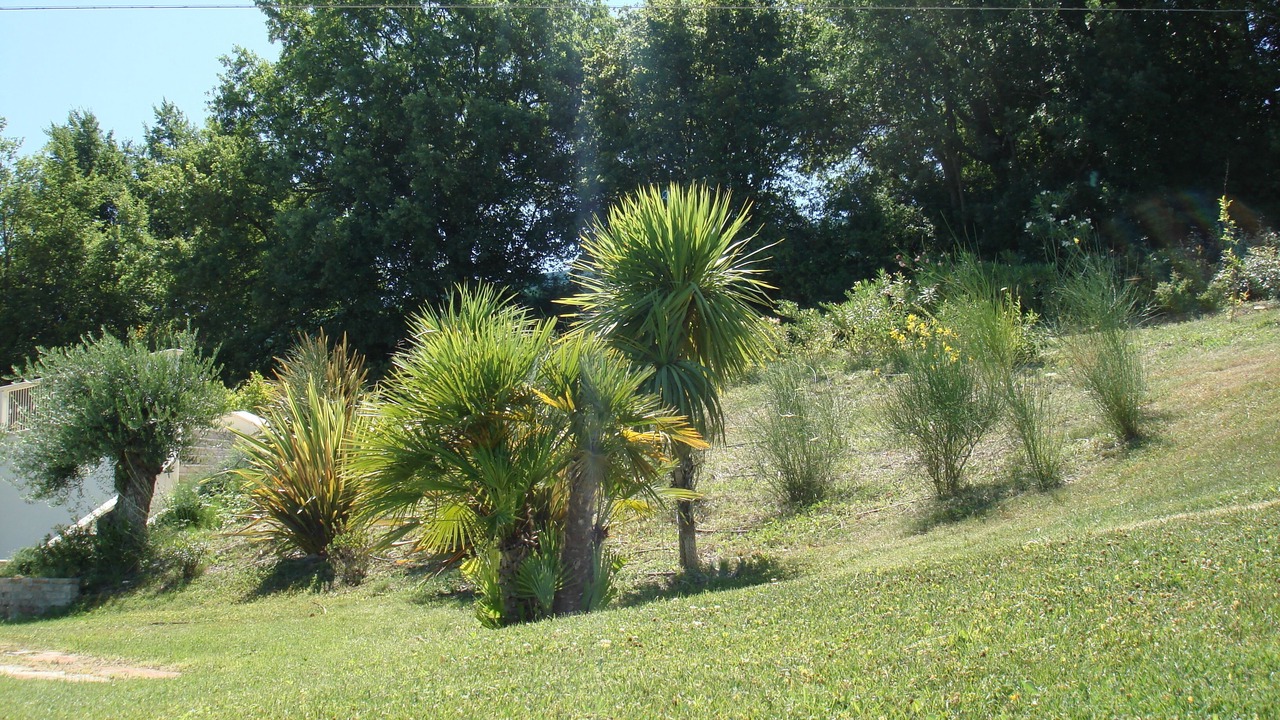 Photo of Outdoor in Montelabbate
