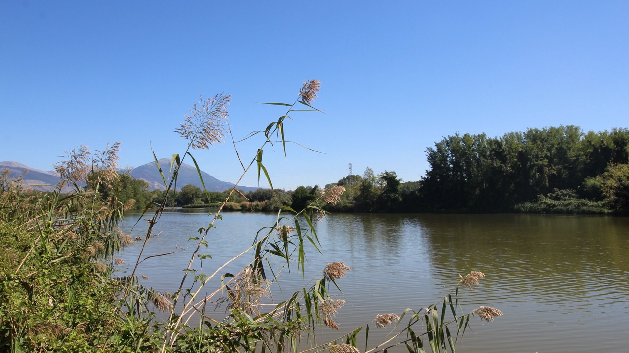 Photo of Outdoor in Isoletta
