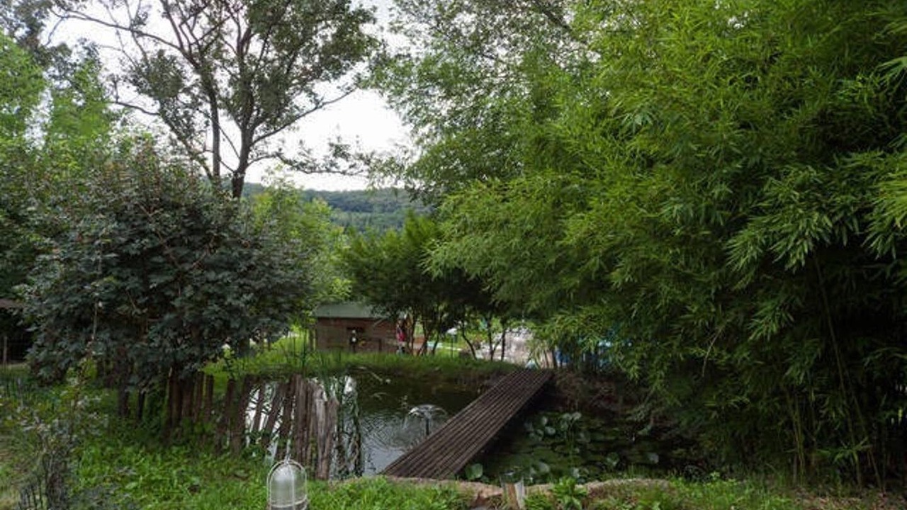Photo of Outdoor in Arcugnano