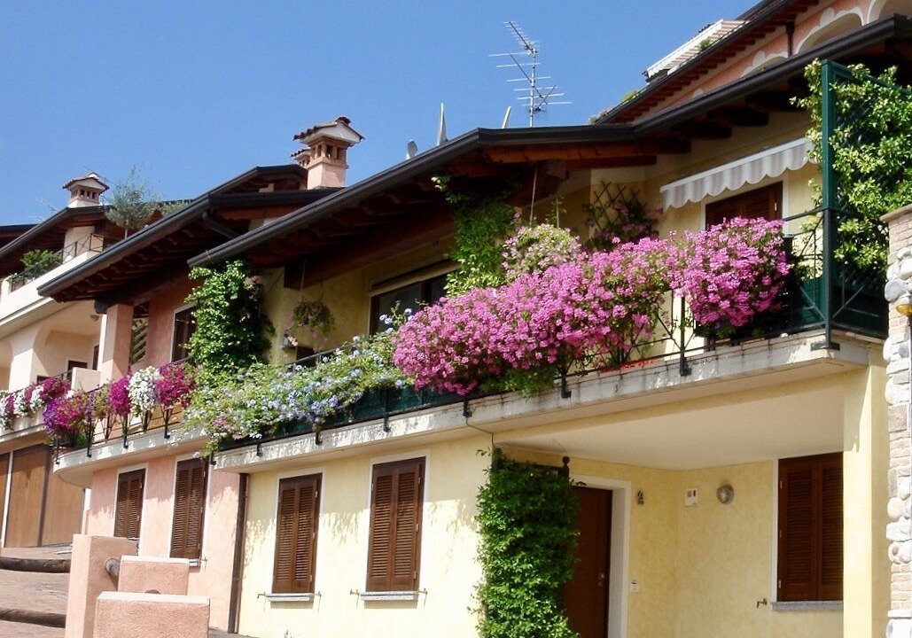Photo of Outdoor in Monte