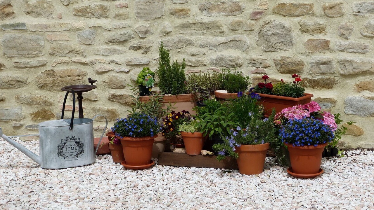 Photo of Outdoor in Pergola