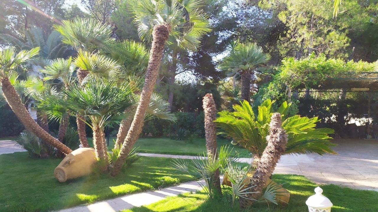 Photo of Outdoor in Rosa Marina