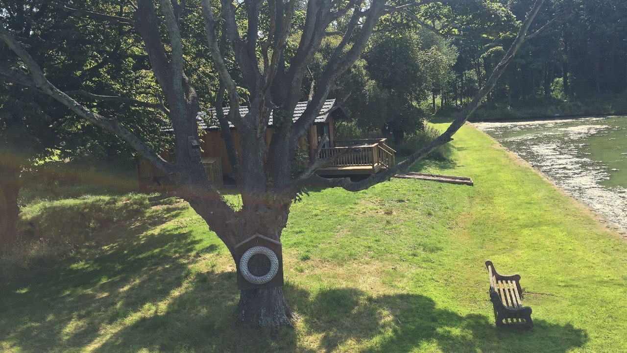 Photo of Outdoor in Dunbar