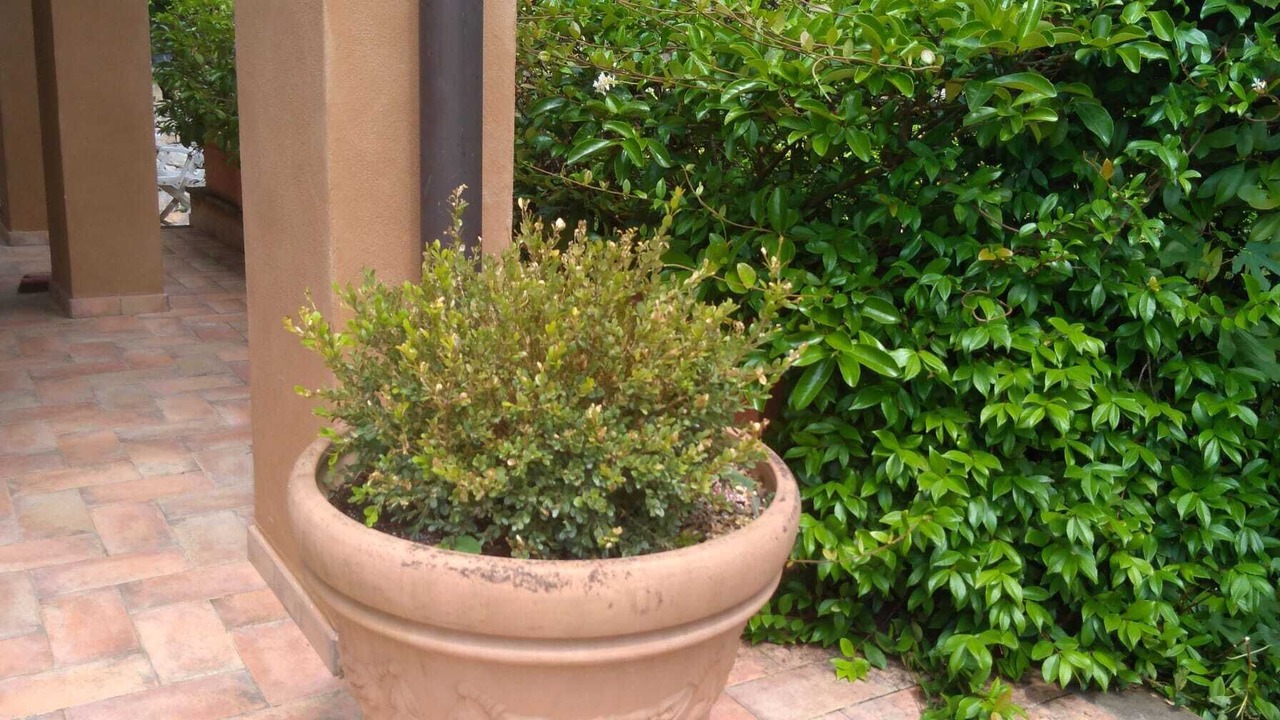 Photo of Outdoor in Garlenda