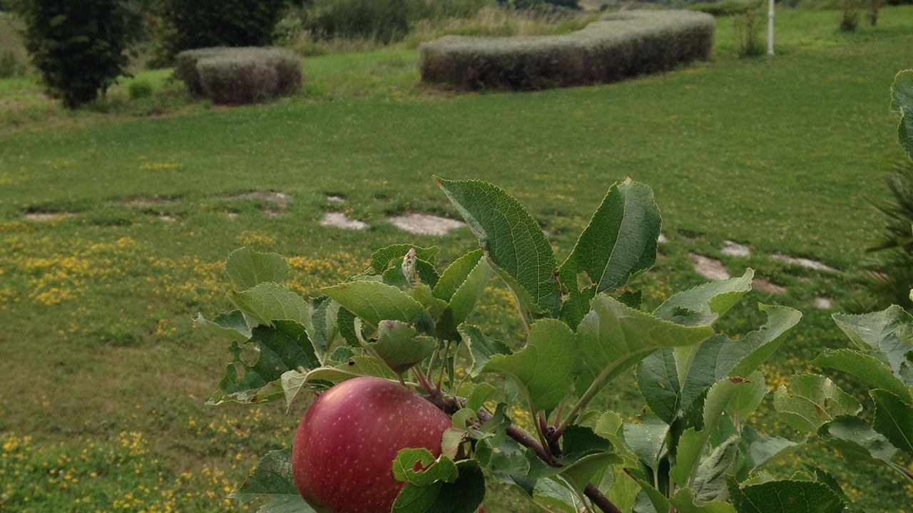 Photo of Outdoor in Montelabbate