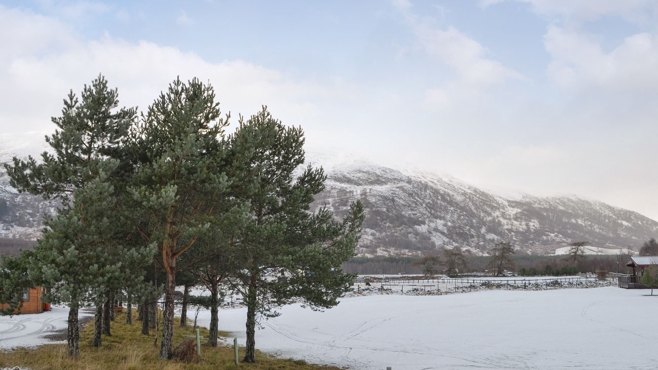 Photo of Others in Newtonmore