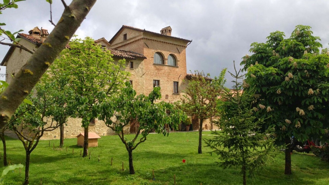 Photo of Others in Piosina