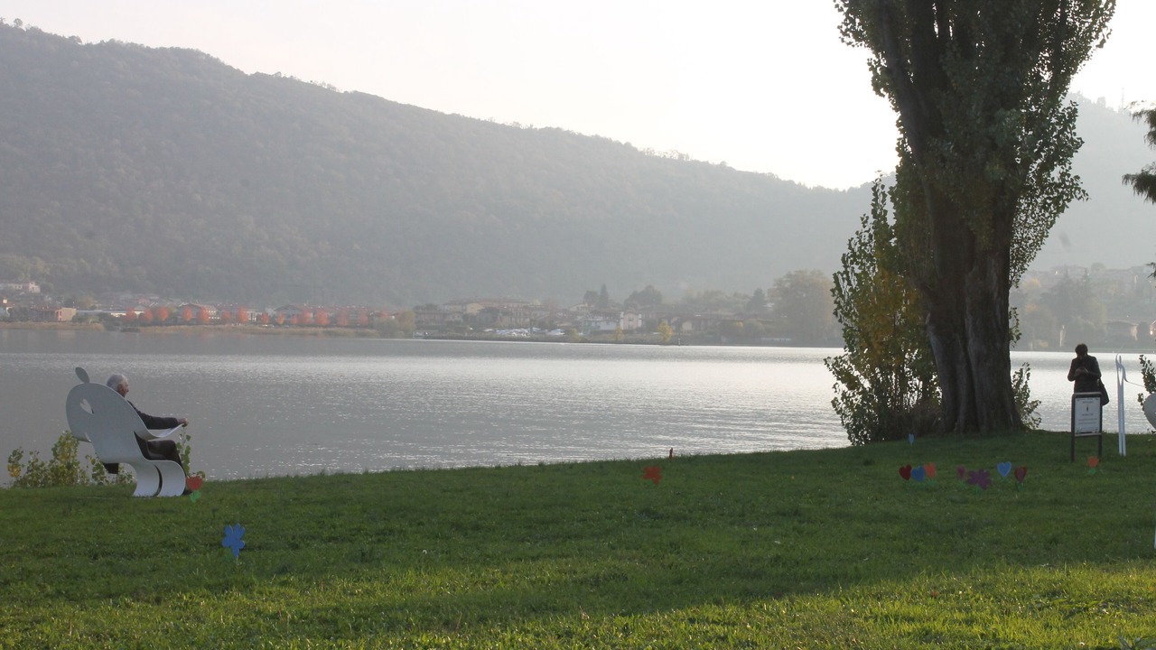 Photo of Outdoor in Paratico