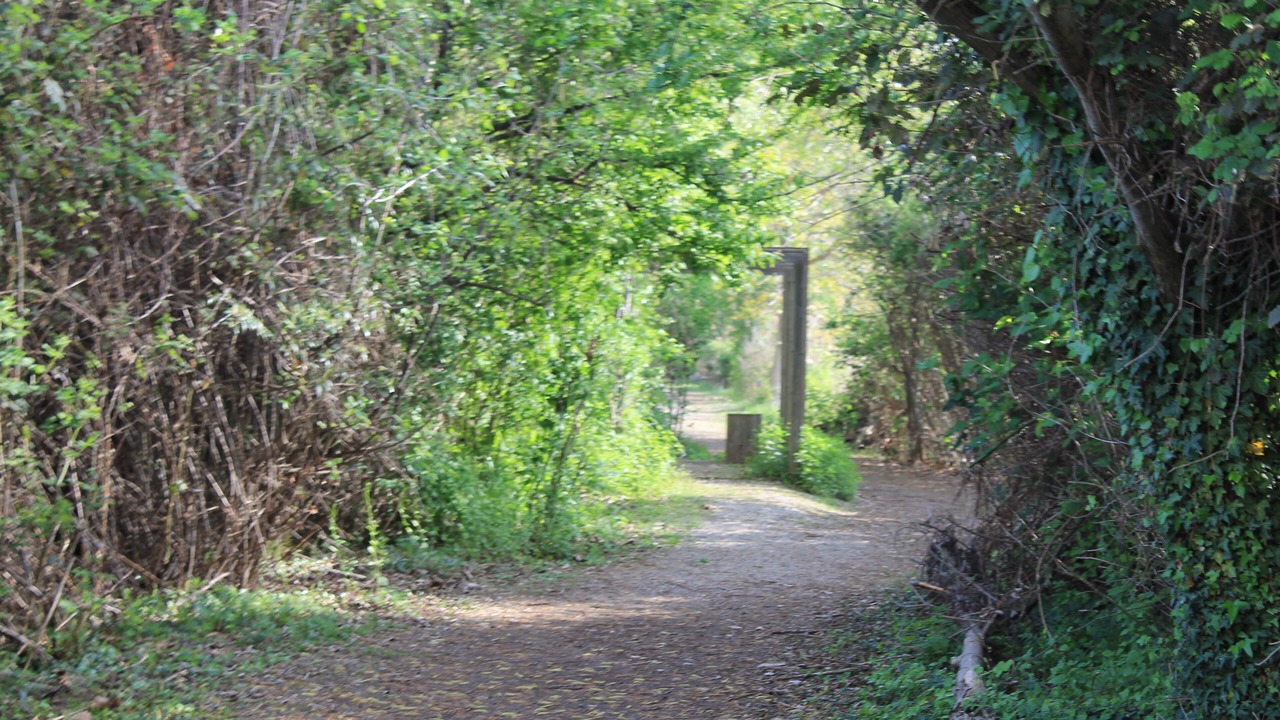 Photo of Outdoor in Paratico