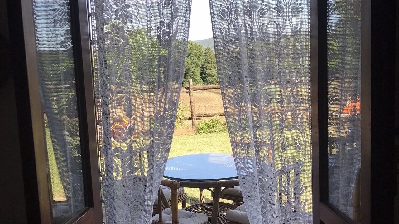 Photo of Others in Canale Monterano