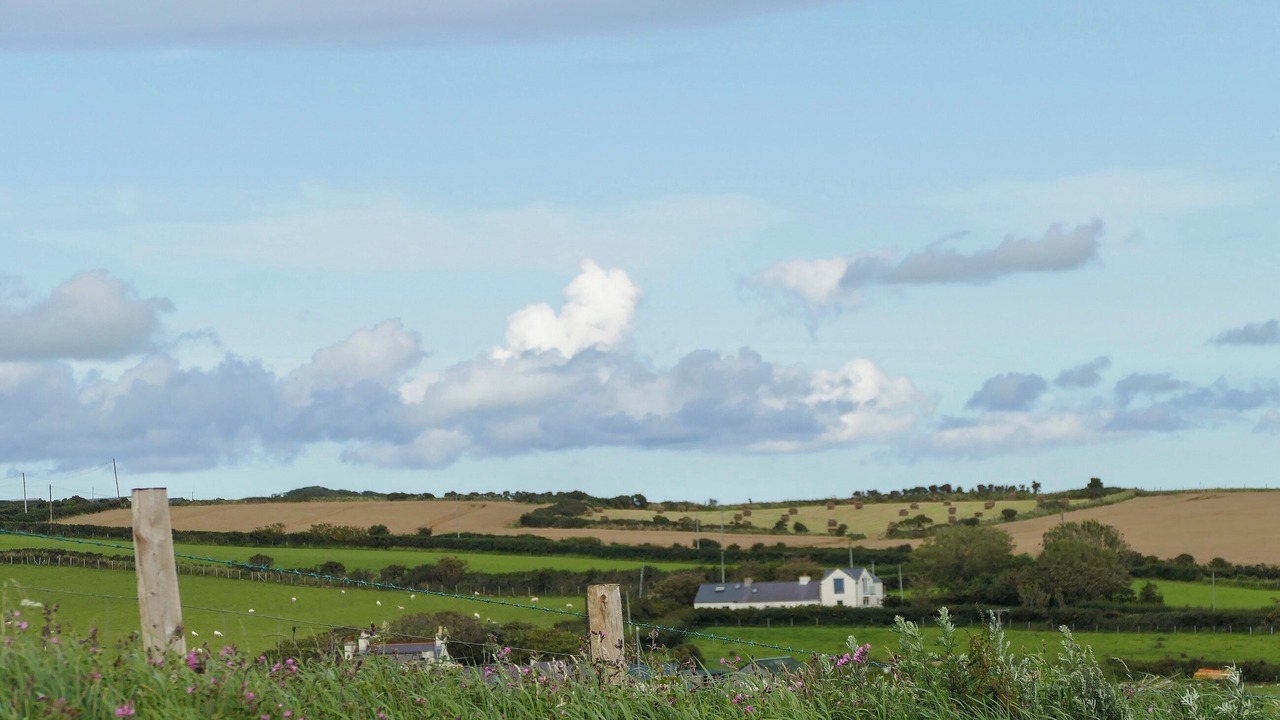 Photo of Others in Llanfaethlu