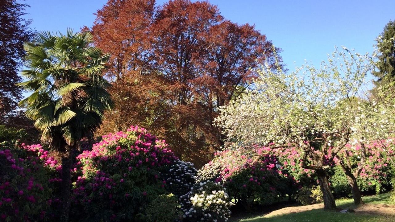 Photo of Outdoor in Cissano