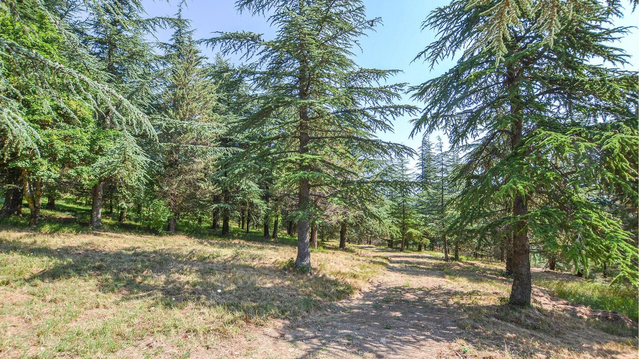 Photo of Others in Apecchio